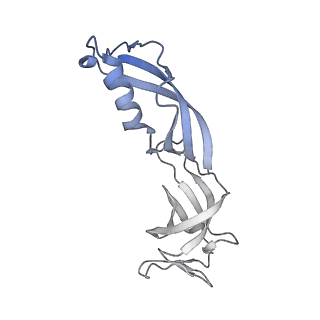 23908_7ml4_G_v2-0
RNA polymerase II initially transcribing complex (ITC)