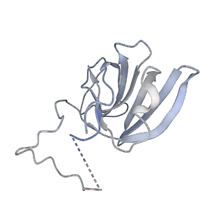 23908_7ml4_H_v1-0
RNA polymerase II initially transcribing complex (ITC)