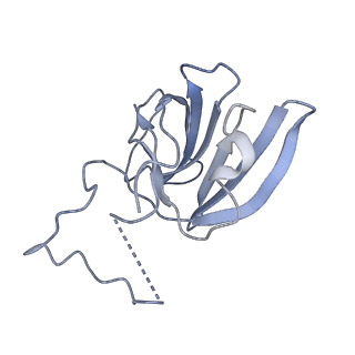 23908_7ml4_H_v2-0
RNA polymerase II initially transcribing complex (ITC)