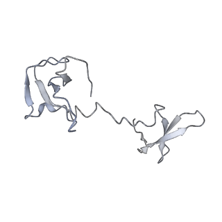 23908_7ml4_I_v1-0
RNA polymerase II initially transcribing complex (ITC)