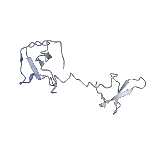 23908_7ml4_I_v2-0
RNA polymerase II initially transcribing complex (ITC)
