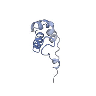 23908_7ml4_J_v1-0
RNA polymerase II initially transcribing complex (ITC)