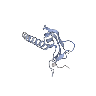 23908_7ml4_K_v1-0
RNA polymerase II initially transcribing complex (ITC)