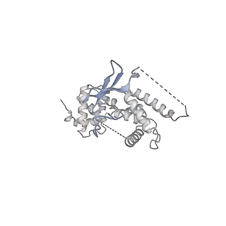 23908_7ml4_M_v1-0
RNA polymerase II initially transcribing complex (ITC)