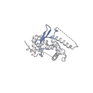23908_7ml4_M_v2-0
RNA polymerase II initially transcribing complex (ITC)