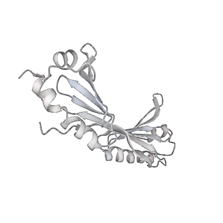 23908_7ml4_O_v1-0
RNA polymerase II initially transcribing complex (ITC)