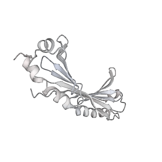23908_7ml4_O_v2-0
RNA polymerase II initially transcribing complex (ITC)