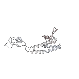 23908_7ml4_W_v1-0
RNA polymerase II initially transcribing complex (ITC)