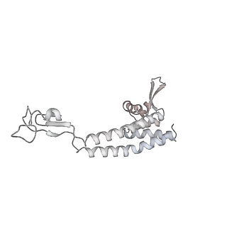 23908_7ml4_W_v2-0
RNA polymerase II initially transcribing complex (ITC)