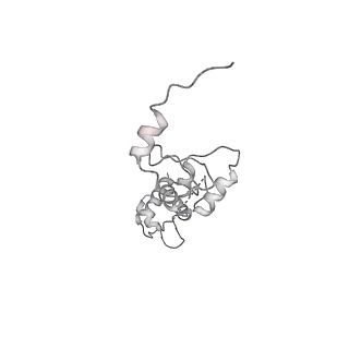 23908_7ml4_X_v1-0
RNA polymerase II initially transcribing complex (ITC)