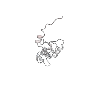 23908_7ml4_X_v2-0
RNA polymerase II initially transcribing complex (ITC)