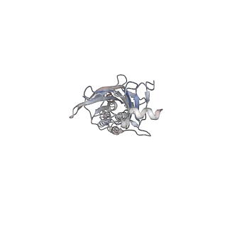 23910_7mlu_A_v1-2
Cryo-EM reveals partially and fully assembled native glycine receptors,homomeric pentamer