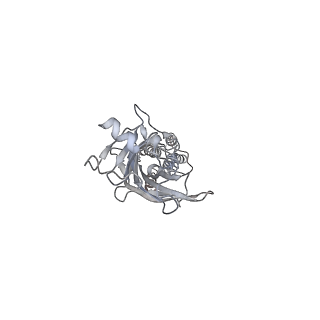 23910_7mlu_C_v1-2
Cryo-EM reveals partially and fully assembled native glycine receptors,homomeric pentamer