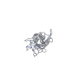 23910_7mlu_D_v1-2
Cryo-EM reveals partially and fully assembled native glycine receptors,homomeric pentamer