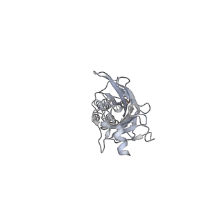 23910_7mlu_E_v1-2
Cryo-EM reveals partially and fully assembled native glycine receptors,homomeric pentamer