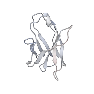 23910_7mlu_F_v1-2
Cryo-EM reveals partially and fully assembled native glycine receptors,homomeric pentamer