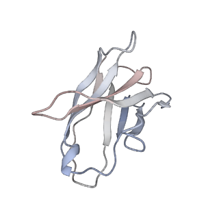 23910_7mlu_G_v1-2
Cryo-EM reveals partially and fully assembled native glycine receptors,homomeric pentamer