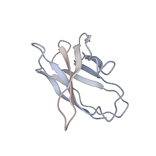 23910_7mlu_H_v1-2
Cryo-EM reveals partially and fully assembled native glycine receptors,homomeric pentamer