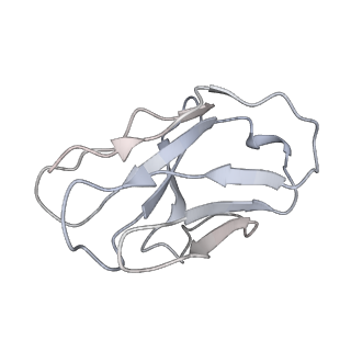 23910_7mlu_K_v1-2
Cryo-EM reveals partially and fully assembled native glycine receptors,homomeric pentamer