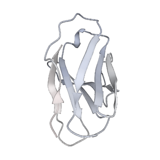 23910_7mlu_M_v1-2
Cryo-EM reveals partially and fully assembled native glycine receptors,homomeric pentamer