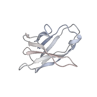 23910_7mlu_N_v1-2
Cryo-EM reveals partially and fully assembled native glycine receptors,homomeric pentamer