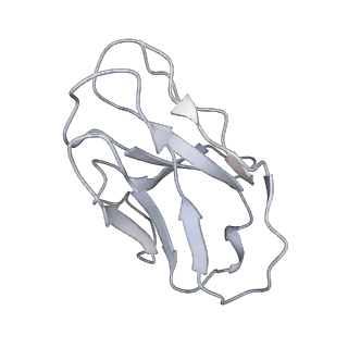 23910_7mlu_O_v1-2
Cryo-EM reveals partially and fully assembled native glycine receptors,homomeric pentamer