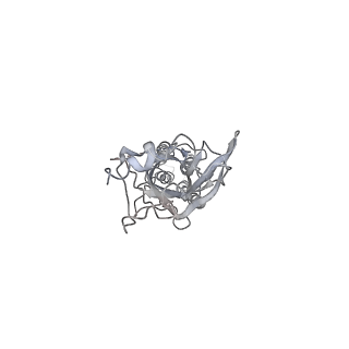 23911_7mlv_A_v1-2
Cryo-EM reveals partially and fully assembled native glycine receptors,homomeric tetramer