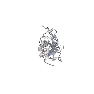 23911_7mlv_B_v1-2
Cryo-EM reveals partially and fully assembled native glycine receptors,homomeric tetramer