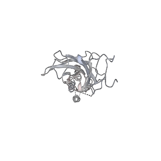 23911_7mlv_C_v1-2
Cryo-EM reveals partially and fully assembled native glycine receptors,homomeric tetramer