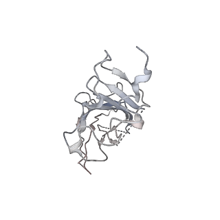 23911_7mlv_D_v1-2
Cryo-EM reveals partially and fully assembled native glycine receptors,homomeric tetramer