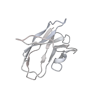 23911_7mlv_F_v1-2
Cryo-EM reveals partially and fully assembled native glycine receptors,homomeric tetramer
