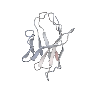 23911_7mlv_G_v1-2
Cryo-EM reveals partially and fully assembled native glycine receptors,homomeric tetramer