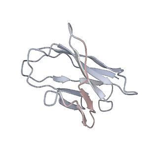 23911_7mlv_H_v1-2
Cryo-EM reveals partially and fully assembled native glycine receptors,homomeric tetramer