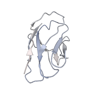 23911_7mlv_I_v1-2
Cryo-EM reveals partially and fully assembled native glycine receptors,homomeric tetramer