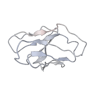 23911_7mlv_J_v1-2
Cryo-EM reveals partially and fully assembled native glycine receptors,homomeric tetramer
