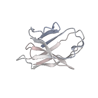 23911_7mlv_L_v1-2
Cryo-EM reveals partially and fully assembled native glycine receptors,homomeric tetramer