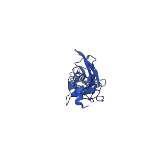 23913_7mly_B_v1-2
Cryo-EM reveals partially and fully assembled native glycine receptors,heteromeric pentamer