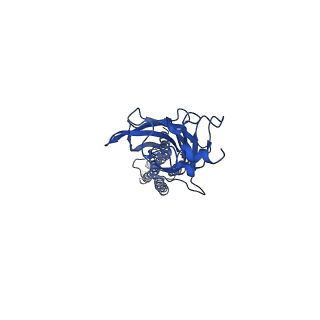 23913_7mly_C_v1-2
Cryo-EM reveals partially and fully assembled native glycine receptors,heteromeric pentamer