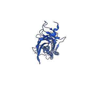 23913_7mly_D_v1-2
Cryo-EM reveals partially and fully assembled native glycine receptors,heteromeric pentamer
