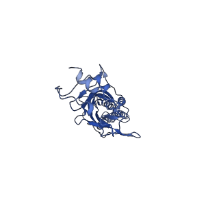 23913_7mly_E_v1-2
Cryo-EM reveals partially and fully assembled native glycine receptors,heteromeric pentamer