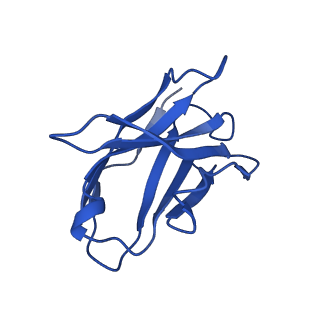 23913_7mly_F_v1-2
Cryo-EM reveals partially and fully assembled native glycine receptors,heteromeric pentamer