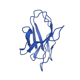 23913_7mly_G_v1-2
Cryo-EM reveals partially and fully assembled native glycine receptors,heteromeric pentamer