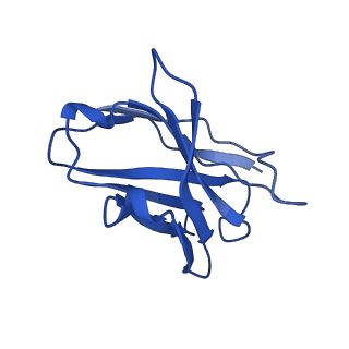 23913_7mly_H_v1-2
Cryo-EM reveals partially and fully assembled native glycine receptors,heteromeric pentamer