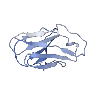 23913_7mly_J_v1-2
Cryo-EM reveals partially and fully assembled native glycine receptors,heteromeric pentamer