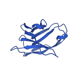23913_7mly_L_v1-2
Cryo-EM reveals partially and fully assembled native glycine receptors,heteromeric pentamer