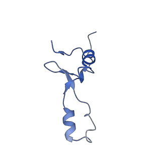3525_5mlc_5_v1-5
Cryo-EM structure of the spinach chloroplast ribosome reveals the location of plastid-specific ribosomal proteins and extensions