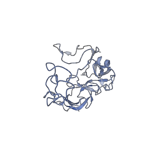 3525_5mlc_D_v1-5
Cryo-EM structure of the spinach chloroplast ribosome reveals the location of plastid-specific ribosomal proteins and extensions
