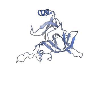 3525_5mlc_E_v1-5
Cryo-EM structure of the spinach chloroplast ribosome reveals the location of plastid-specific ribosomal proteins and extensions