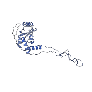 3525_5mlc_F_v1-5
Cryo-EM structure of the spinach chloroplast ribosome reveals the location of plastid-specific ribosomal proteins and extensions