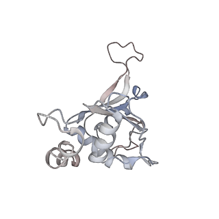 3525_5mlc_G_v1-5
Cryo-EM structure of the spinach chloroplast ribosome reveals the location of plastid-specific ribosomal proteins and extensions